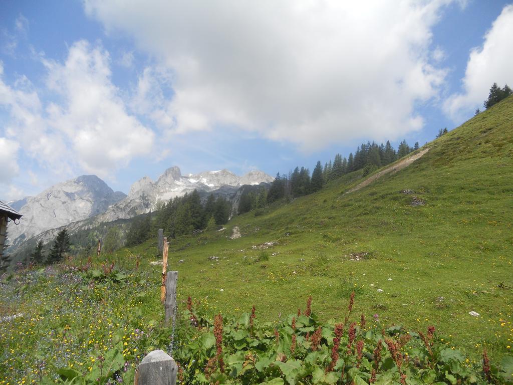 Vorderhof Appartement Sankt Martin am Tennengebirge Buitenkant foto