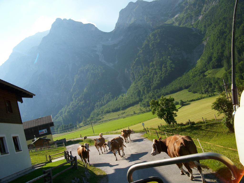 Vorderhof Appartement Sankt Martin am Tennengebirge Buitenkant foto